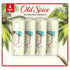 Old Spice Invisible Solid Antiperspirant Deodorant for Men Fiji with Palm Tree Scent Inspired by Nature (2.6 oz., 4 pk.)
