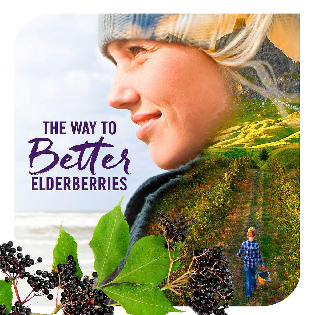 Nature's Way Sambucus Elderberry Herbal Supplement Gummies, Gluten Free (120 ct.)