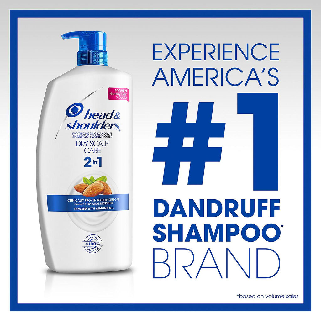 H & S 2-n-1 Dandruff Hair and Dry Scalp Care