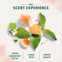 Herbal Essences Bio:Renew White Grapefruit & Mosa Mint Dry Shampoo (4.9 oz., 2 pk.)