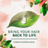 Herbal Essences Bio:Renew White Grapefruit & Mosa Mint Dry Shampoo (4.9 oz., 2 pk.)