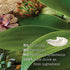 Maui Moisture Detoxifying + Volcanic Ash Shampoo, Conditioner and Hair Mask
