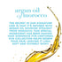 OGX Renewing + Argan Oil of Morocco Shampoo, Conditioner and Dry Shampoo Bundle