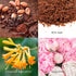 The Skin House Cacao Sugar Blackhead Off