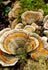 Nature's Lab Mushroom 7, Vegetarian Capsules