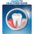 Oral-B Cross Action Advanced Toothbrush with Bacteria Guard Bristles, 8-pack