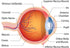 trunature Vision Complex Lutein & Zeaxanthin (140 Softgels)