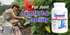 Cosamin DS for Joint Health, 230 Capsules