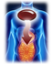 Kirkland Signature Krill Oil 500 mg. (160 Softgels)
