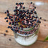 Sambucol Black Elderberry Immune Support Syrup, 15.6 Ounces